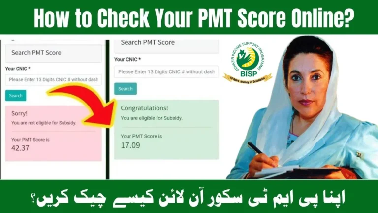 8171 Web Portal PMT Score Check 2025 – Instantly Verify Your BISP Eligibility