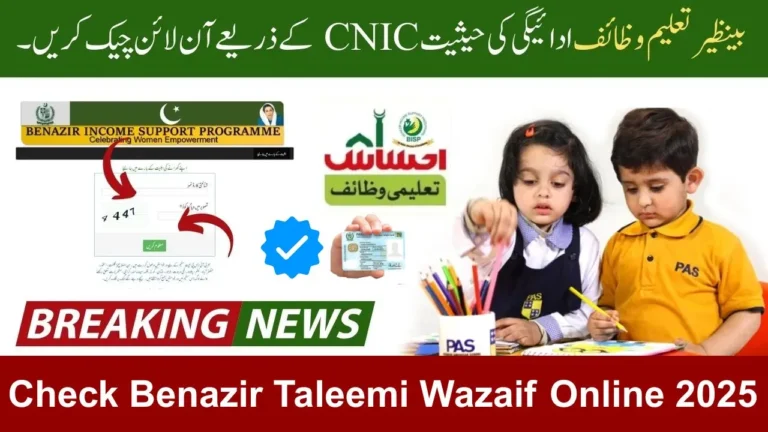 Check Benazir Taleemi Wazaif Online 2025 – Verify Student Stipend by CNIC (Latest Update)